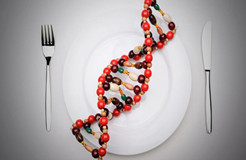 美国人不吃转基因了？其实美国转基因专利最多