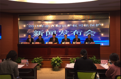 2017年浙江法院知识产权司法保护十大案例