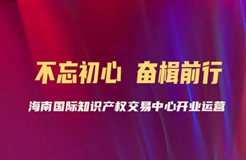 夯实基础 提高知识产权公共服务能力——开业一年来海知中心积极助力自贸港建设