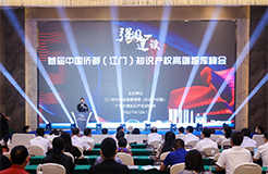 首届中国侨都（江门）知识产权高端智库峰会举行  ​