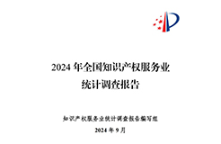 《2024年全国知识产权服务业统计调查报告》：知识产权从业人员人均营业收入28.9万元/人｜附全文