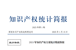 2024年1-12月我国发明专利授权量同比增长13.46%，实用新型同比下降3.86%｜附报告