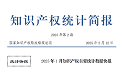 2025年1月专利、商标、地理标志等知识产权主要统计数据 | 附数据详情