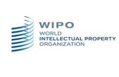 WIPO：2024年PCT专利申请总量第一的国家是中国，申请人榜首为华为