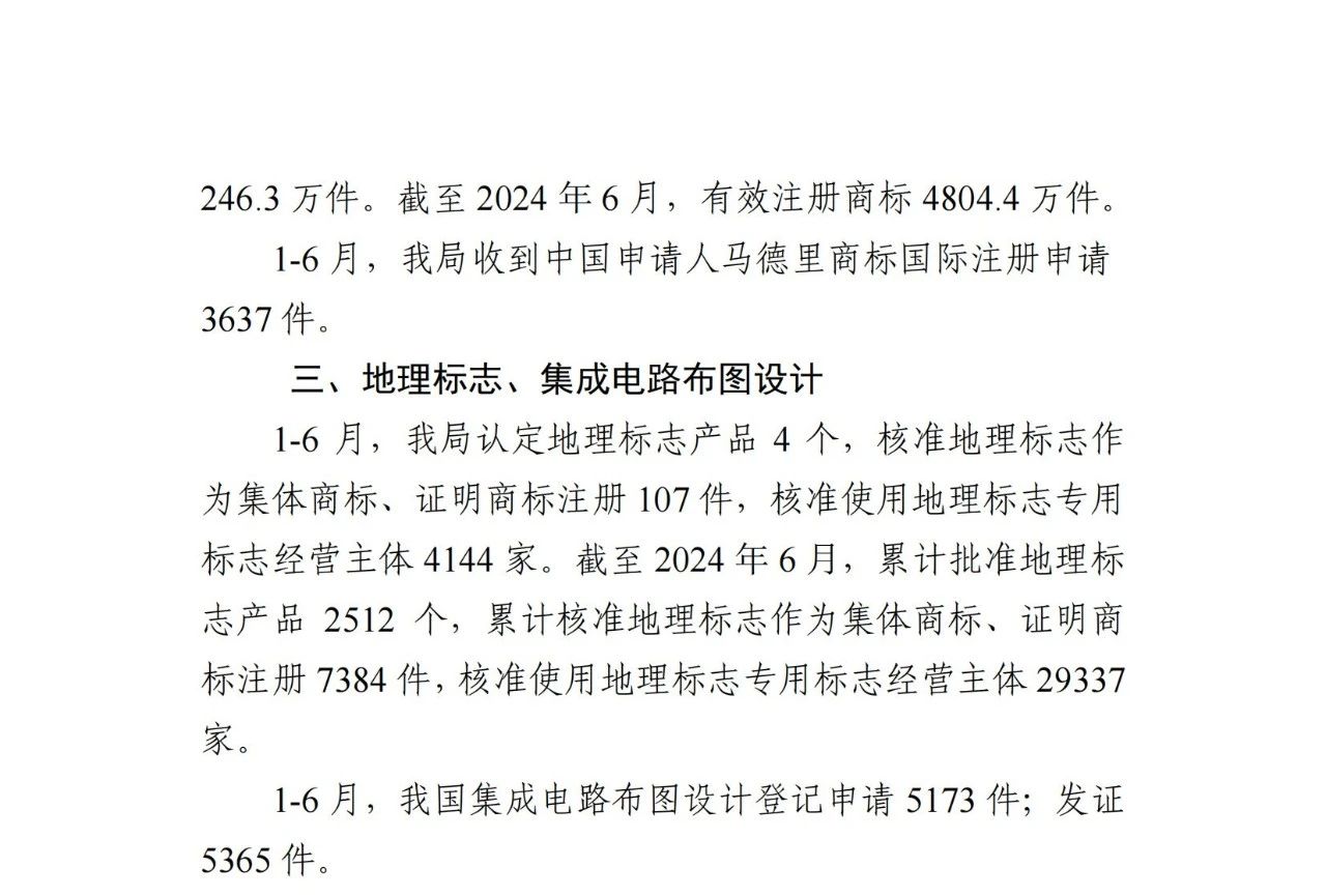 2024年1-6月专利、商标、地理标志等知识产权主要统计数据 | 附数据详情