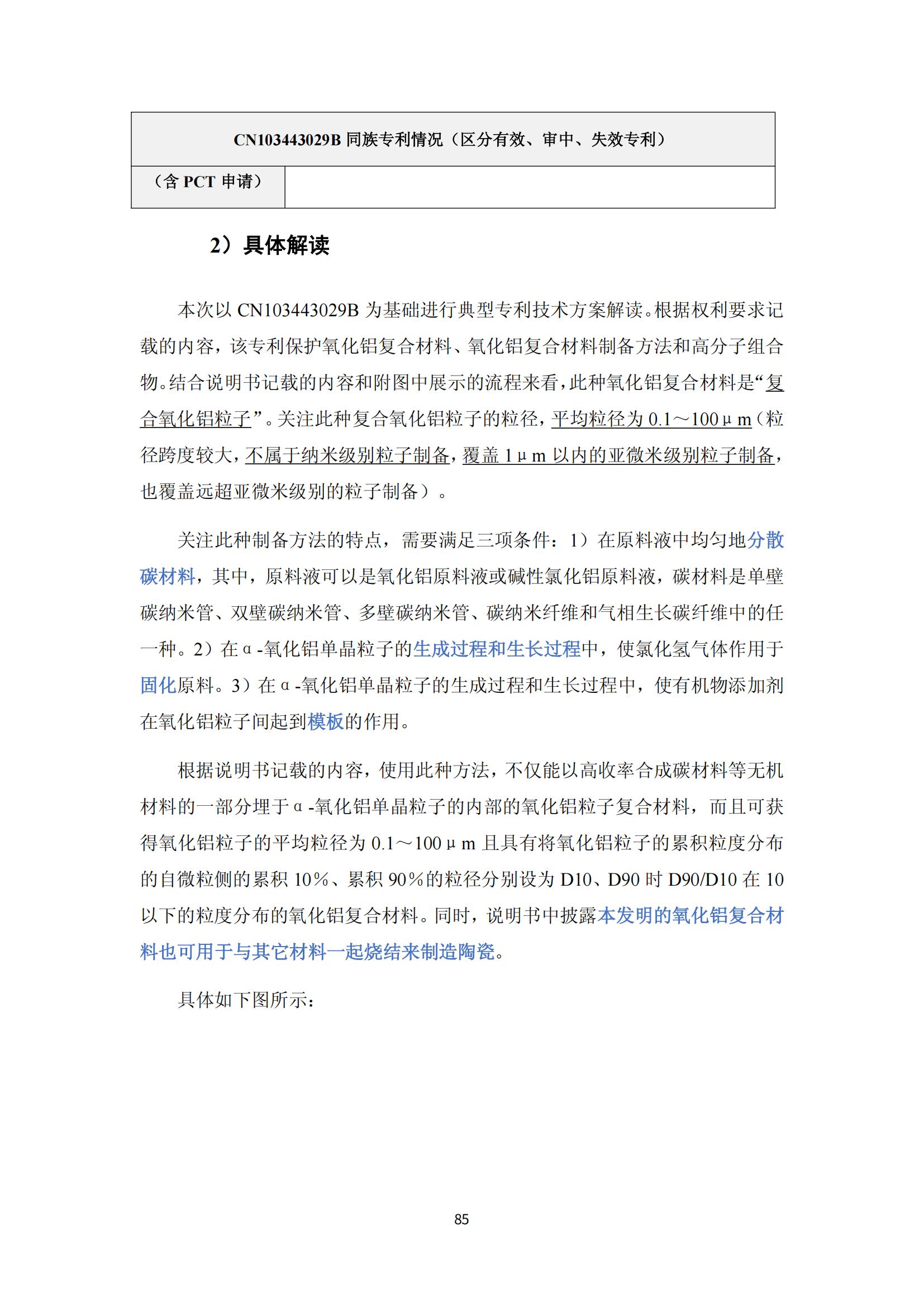 纳米陶瓷产业海外专利预警分析报告_89