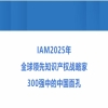 IAM2025年全球领先知识产权战略家300强中的中国面孔 