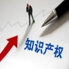 给个人！执业专利代理师资助2000元/人，知识产权师500元/人、高级3000元/人、正高级6000元/人｜附通知 